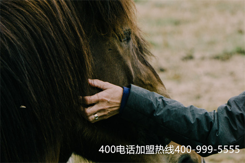 (在哪里可以辦理400電話)(如何選到心儀的400電話號碼)