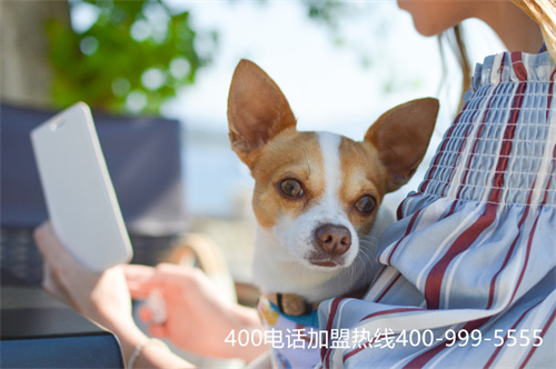 (哪些公司有400電話)(哪些大型企業用400電話)