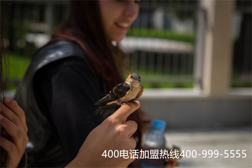 (400電話怎么樣辦理)(400電話一年多少錢便宜)
